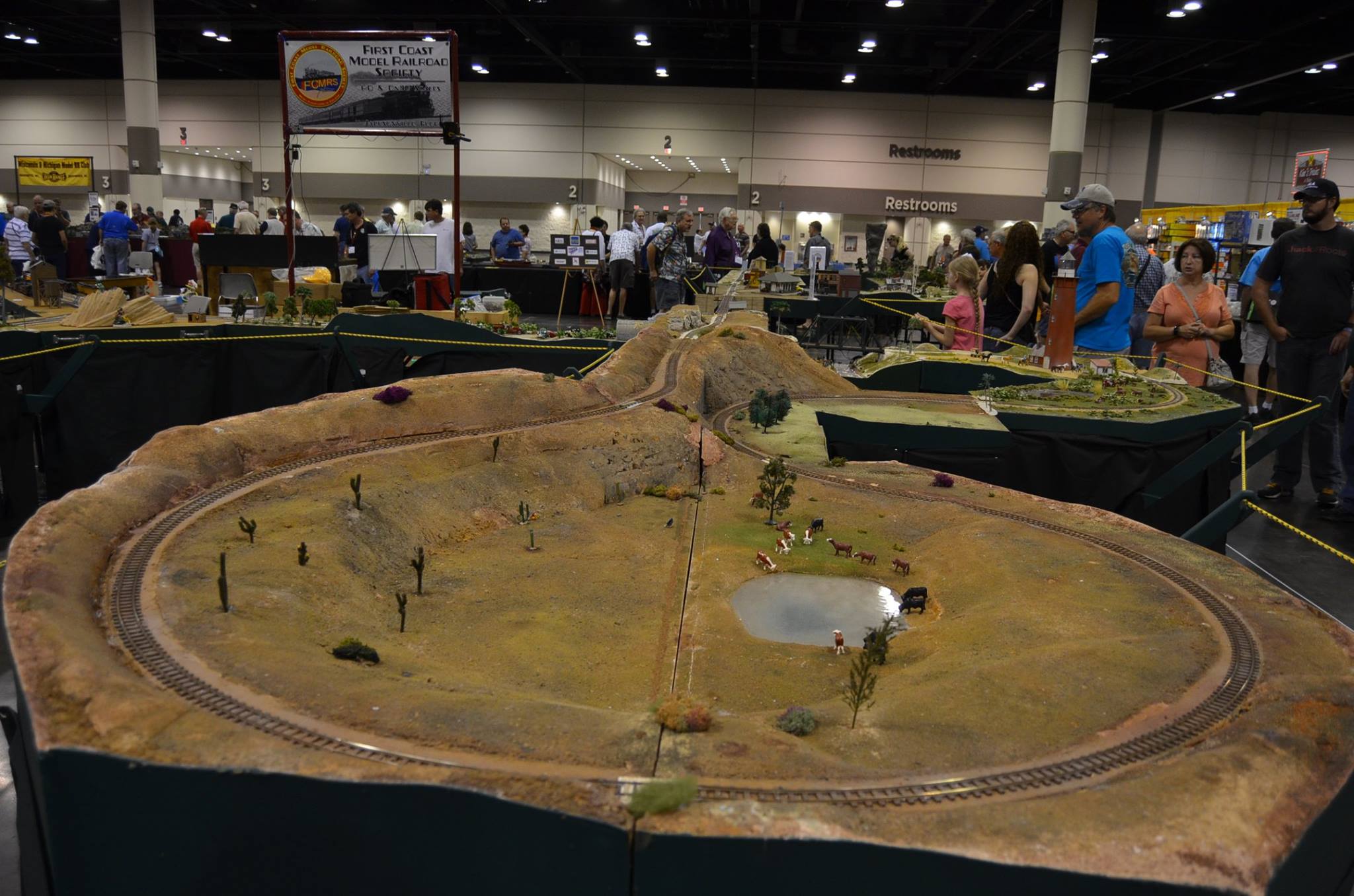 Tanglefoot Curve at the NTS 2017 layout.
